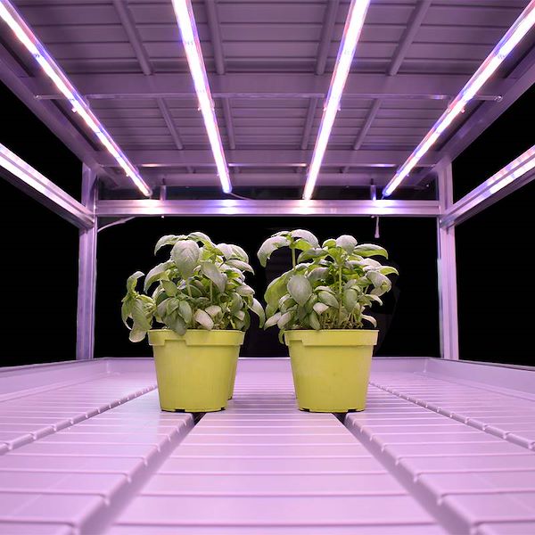 Vertical farming system